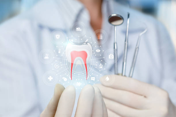 Best Traditional Braces  in Preston, IA